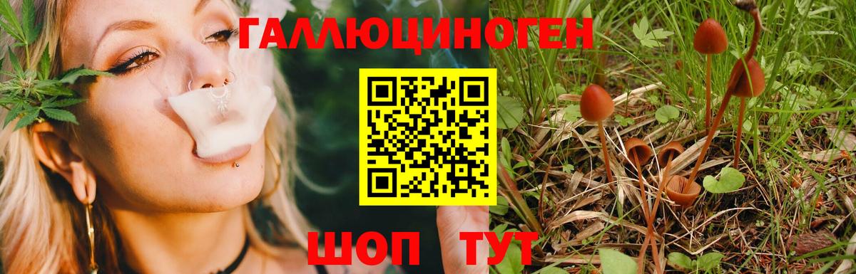 Галлюциногенные грибы Psilocybe  Псилоцибиновые грибы MAGIC MUSHROOMS  Вход с VPN  Костомукша 
