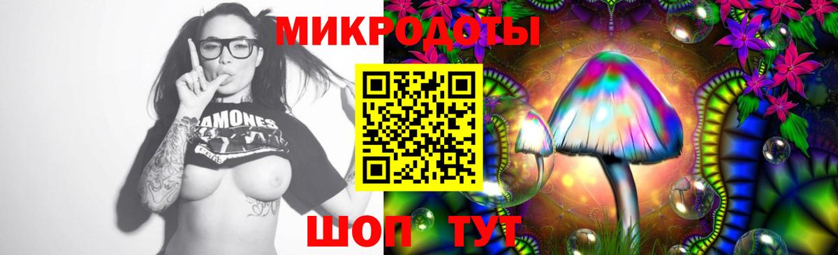 Галлюциногенные грибы Psilocybe Костомукша