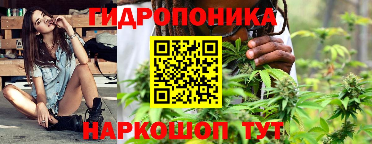 Костомукша  Шишки марихуана гибрид  Бошки марихуана White Widow  Канабис Ganja  Вход с VPN 